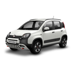 FIAT PANDA VAN N1
