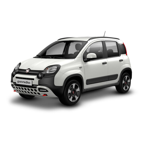 FIAT PANDA VAN N1