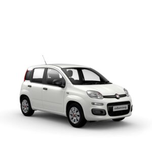 Fiat Panda Van 4 Posti